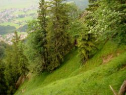 1913-07-05_Regina-F-Rau_Sonnenspitz_Kotalm-Jachenau (302)-b.JPG